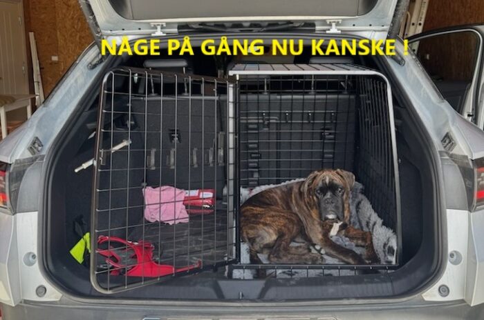 Bur till VW ID 4 Lågt golv - Bild 4